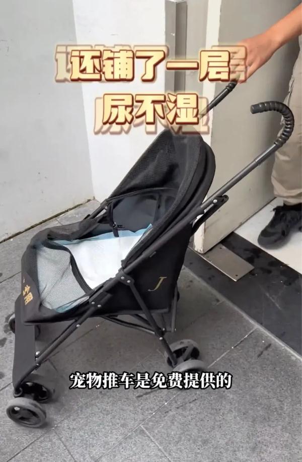 宠物狗不能“落地”但能推着走?上海这一园区新规引争议,工作人员称为保护古建筑 宠物狗不能“落地”但能推着走?上海这一园区新规引争议,工作人员称为保护古建筑