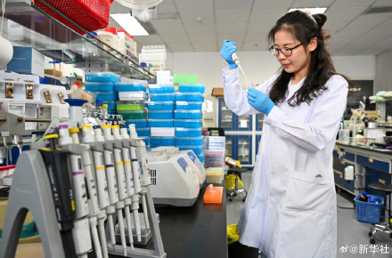 赞！我国科学家人工合成糖取得新突破