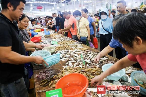 多图直击！广西开海第一波海鲜上岸，价格美丽有的直接腰斩
