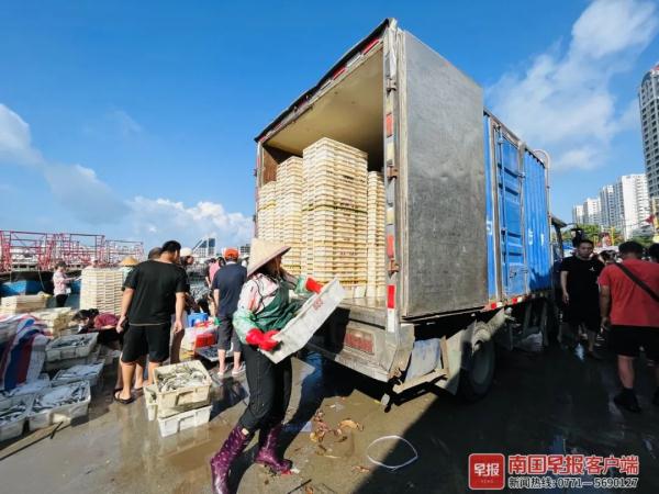多图直击！广西开海第一波海鲜上岸，价格美丽有的直接腰斩