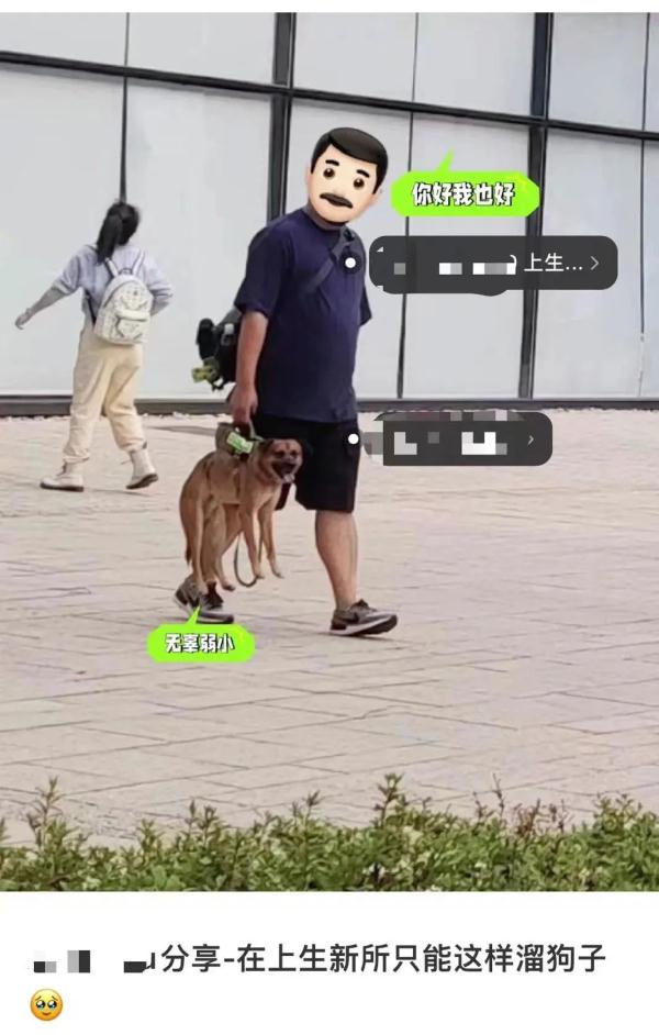 宠物狗不能“落地”但能推着走?上海这一园区新规引争议,工作人员称为保护古建筑 宠物狗不能“落地”但能推着走?上海这一园区新规引争议,工作人员称为保护古建筑