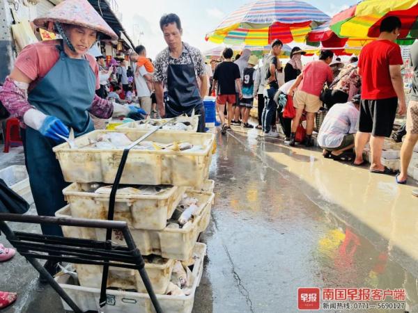 多图直击！广西开海第一波海鲜上岸，价格美丽有的直接腰斩