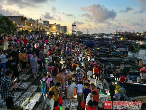 多图直击！广西开海第一波海鲜上岸，价格美丽有的直接腰斩