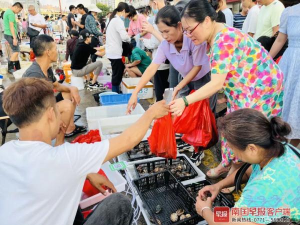 多图直击！广西开海第一波海鲜上岸，价格美丽有的直接腰斩