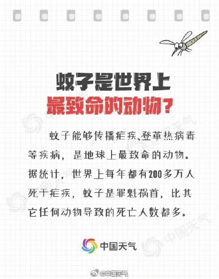 为什么被蚊子叮了会痒?关于蚊子的11个冷知识来啦 为什么被蚊子叮了会痒?关于蚊子的11个冷知识来啦