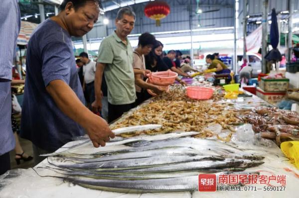多图直击！广西开海第一波海鲜上岸，价格美丽有的直接腰斩