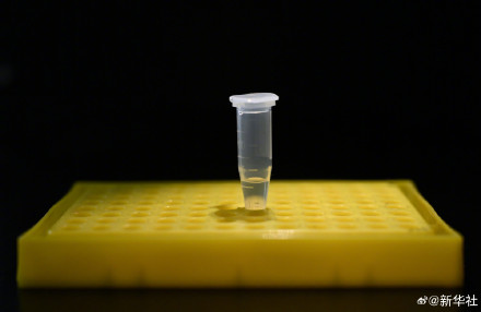 赞！我国科学家人工合成糖取得新突破