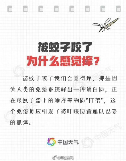 为什么被蚊子叮了会痒?关于蚊子的11个冷知识来啦 为什么被蚊子叮了会痒?关于蚊子的11个冷知识来啦