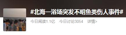 突发!多名游客下海疑被不明鱼类咬伤,官方回应! 突发!多名游客下海疑被不明鱼类咬伤,官方回应!
