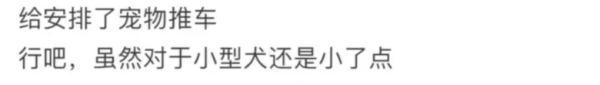 宠物狗不能“落地”但能推着走?上海这一园区新规引争议,工作人员称为保护古建筑 宠物狗不能“落地”但能推着走?上海这一园区新规引争议,工作人员称为保护古建筑