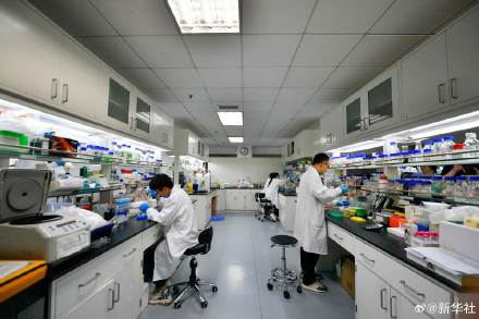 赞！我国科学家人工合成糖取得新突破