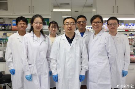 赞！我国科学家人工合成糖取得新突破