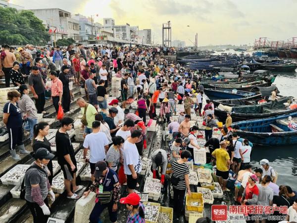 多图直击！广西开海第一波海鲜上岸，价格美丽有的直接腰斩