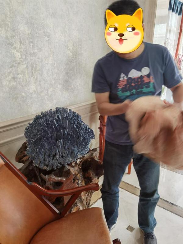 涉案百万!警方最新破获! 涉案百万!警方最新破获!