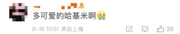 男子“虐猫埋尸”被抓现行！身份曝光！公司：开除，永不录用！