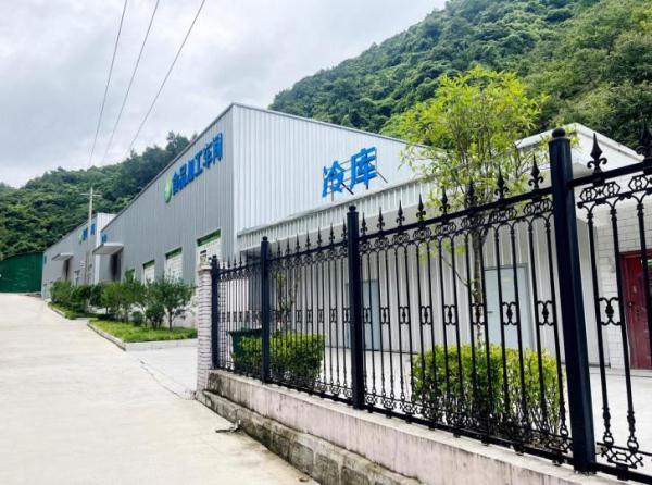 牛耳川“牛倌儿”养牛记