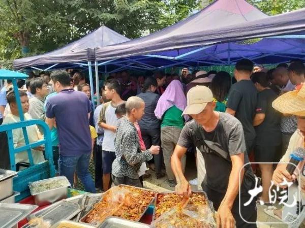 合肥“10元吃35个菜”摊主宣布暂时关门：太累了……