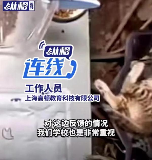 男子“虐猫埋尸”被抓现行！身份曝光！公司：开除，永不录用！
