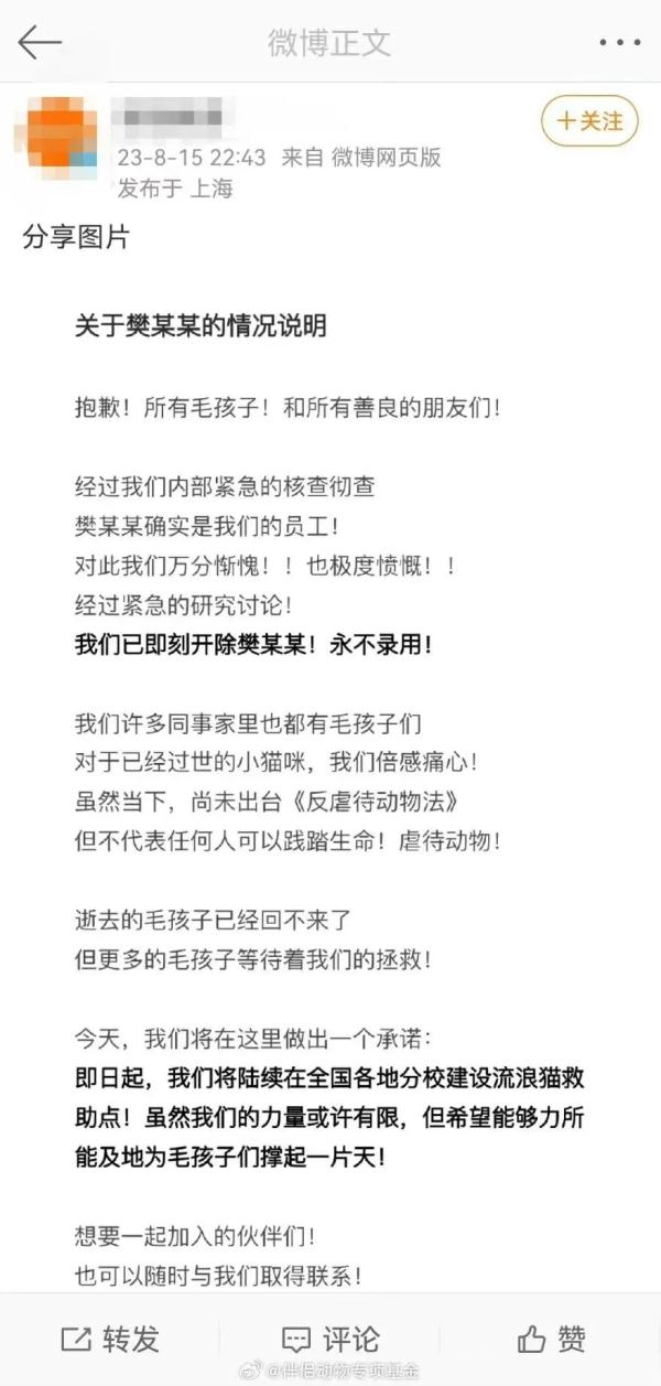 男子“虐猫埋尸”被抓现行！身份曝光！公司：开除，永不录用！