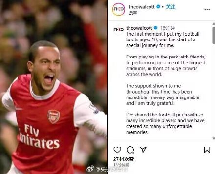 沃尔科特宣布退役