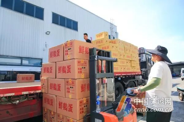 鸡蛋价格上涨！部分地区涨幅超40%，宁波市场情况如何？