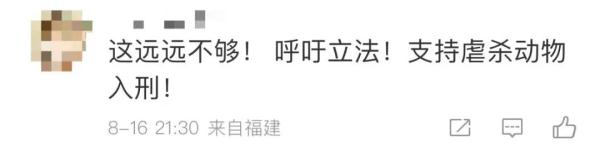 男子“虐猫埋尸”被抓现行！身份曝光！公司：开除，永不录用！