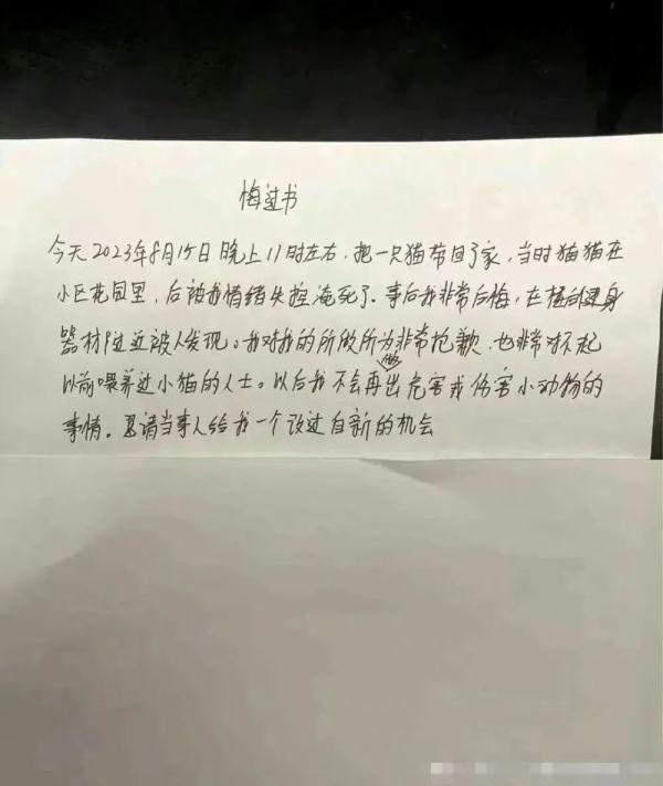 男子“虐猫埋尸”被抓现行！身份曝光！公司：开除，永不录用！