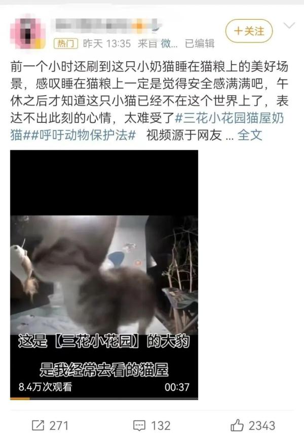 男子“虐猫埋尸”被抓现行！身份曝光！公司：开除，永不录用！