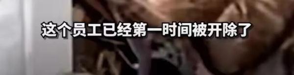 男子“虐猫埋尸”被抓现行！身份曝光！公司：开除，永不录用！