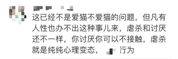 男子“虐猫埋尸”被抓现行！身份曝光！公司：开除，永不录用！