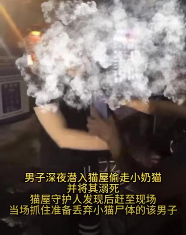 男子“虐猫埋尸”被抓现行！身份曝光！公司：开除，永不录用！