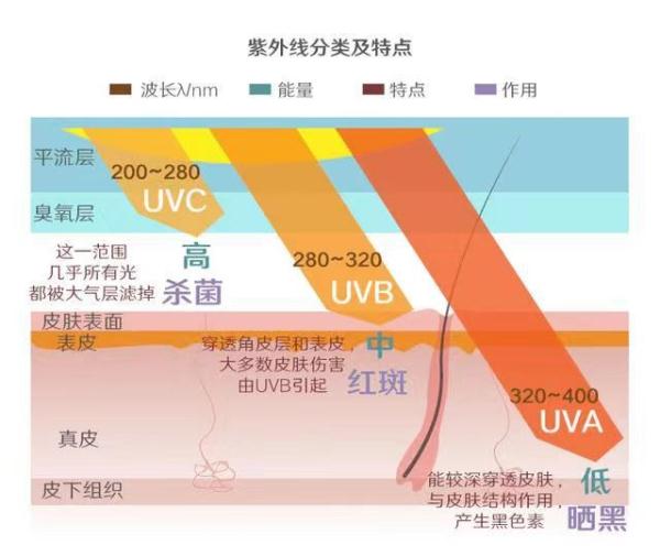 看完这篇文章，你就能“拿捏”住遮阳伞了