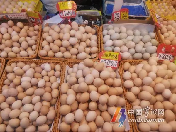 鸡蛋价格上涨！部分地区涨幅超40%，宁波市场情况如何？