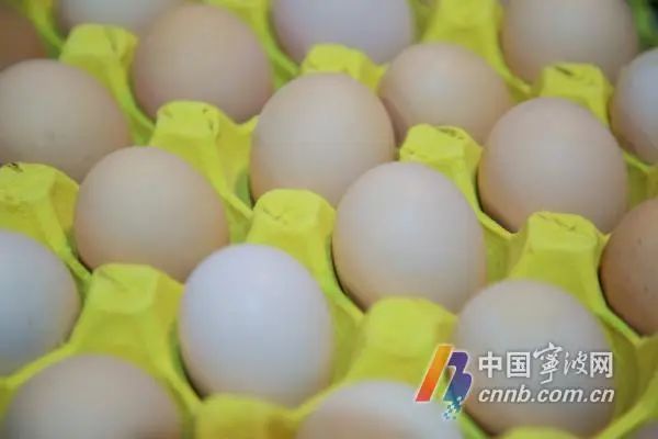 鸡蛋价格上涨！部分地区涨幅超40%，宁波市场情况如何？