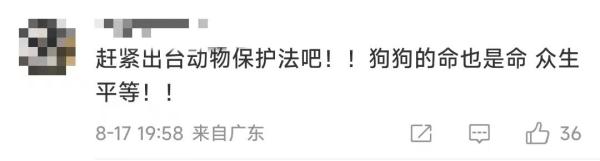 男子将柯基犬抛下楼摔死!"小狗全程没反抗,甚至还在摇尾巴" 男子将柯基犬抛下楼摔死!"小狗全程没反抗,甚至还在摇尾巴"