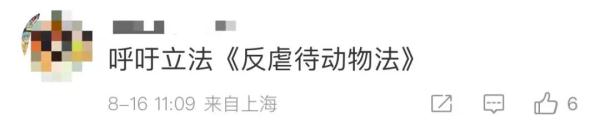男子“虐猫埋尸”被抓现行！身份曝光！公司：开除，永不录用！