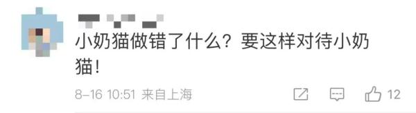 男子“虐猫埋尸”被抓现行！身份曝光！公司：开除，永不录用！