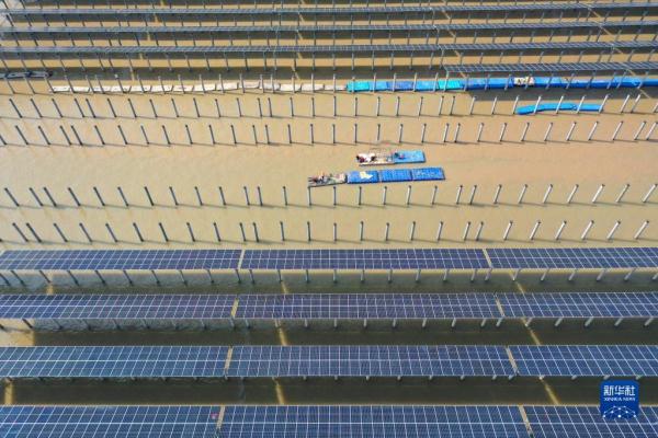 浙江三门:滩涂光伏电站加紧施工建设 浙江三门:滩涂光伏电站加紧施工建设