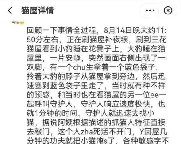 男子“虐猫埋尸”被抓现行！身份曝光！公司：开除，永不录用！
