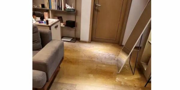 离谱！女子出差回家，精装房变“化粪池”…物业前后两副面孔