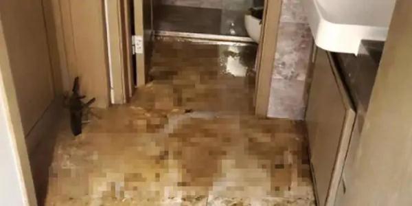 离谱！女子出差回家，精装房变“化粪池”…物业前后两副面孔