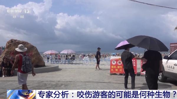 广西北海，咬伤游客的不明生物到底是什么？