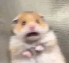 拜佛惹“火”烧家！厦门一出租房连夜疏散35人