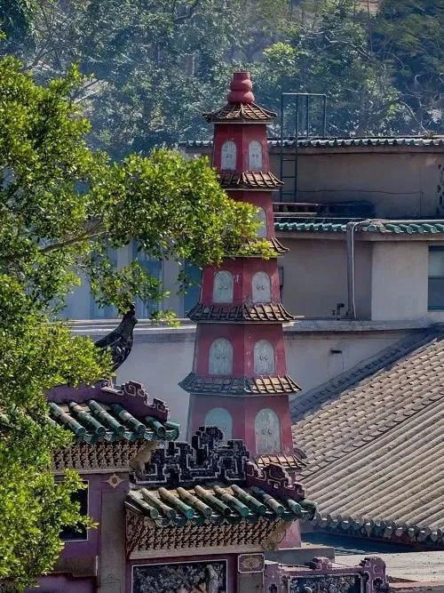 澳门·行 | 这些建筑上的“门道”,你知道吗? 澳门·行 | 这些建筑上的“门道”,你知道吗?