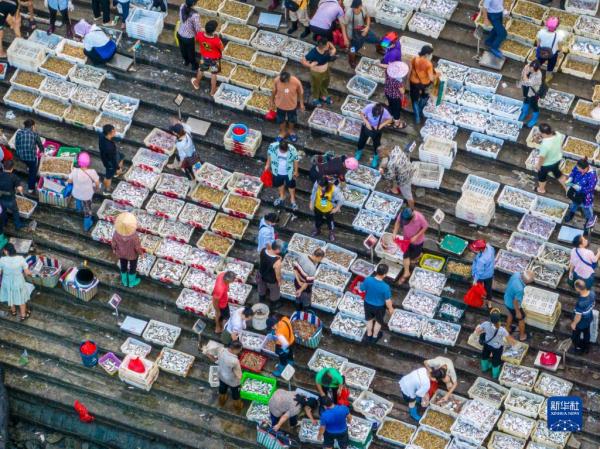 广西北海:渔船归来 渔获到港 广西北海:渔船归来 渔获到港