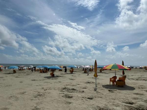 专家推测：北海咬伤游客的可能是这种鱼类