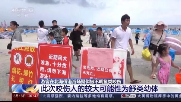 专家推测：北海咬伤游客的可能是这种鱼类