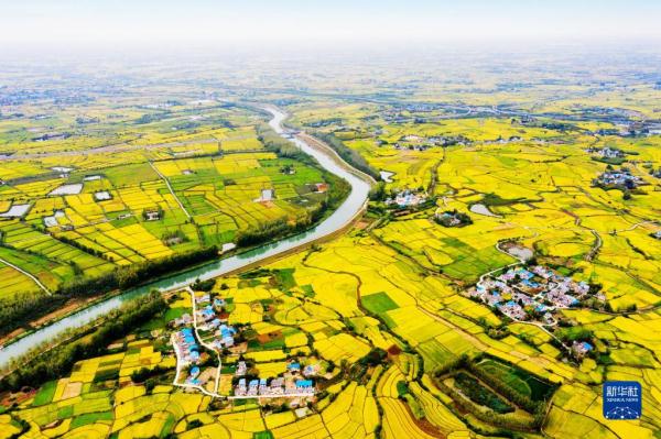 新老照片感受淠史杭灌区发展之变 新老照片感受淠史杭灌区发展之变