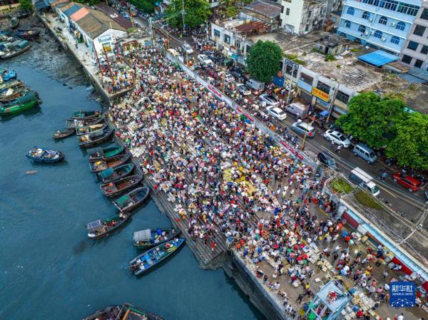 广西北海:渔船归来 渔获到港 广西北海:渔船归来 渔获到港