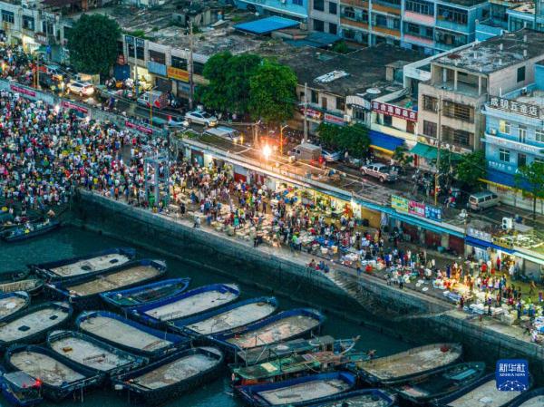 广西北海:渔船归来 渔获到港 广西北海:渔船归来 渔获到港